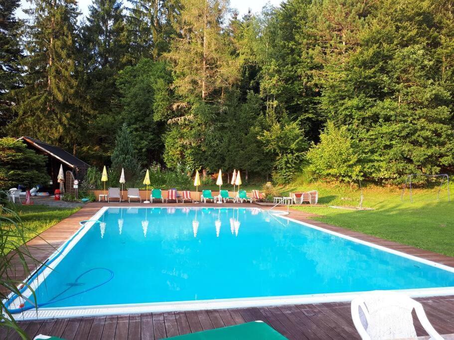 Haus Sonnenhang +Seeblick+Pool Райфніц Екстер'єр фото